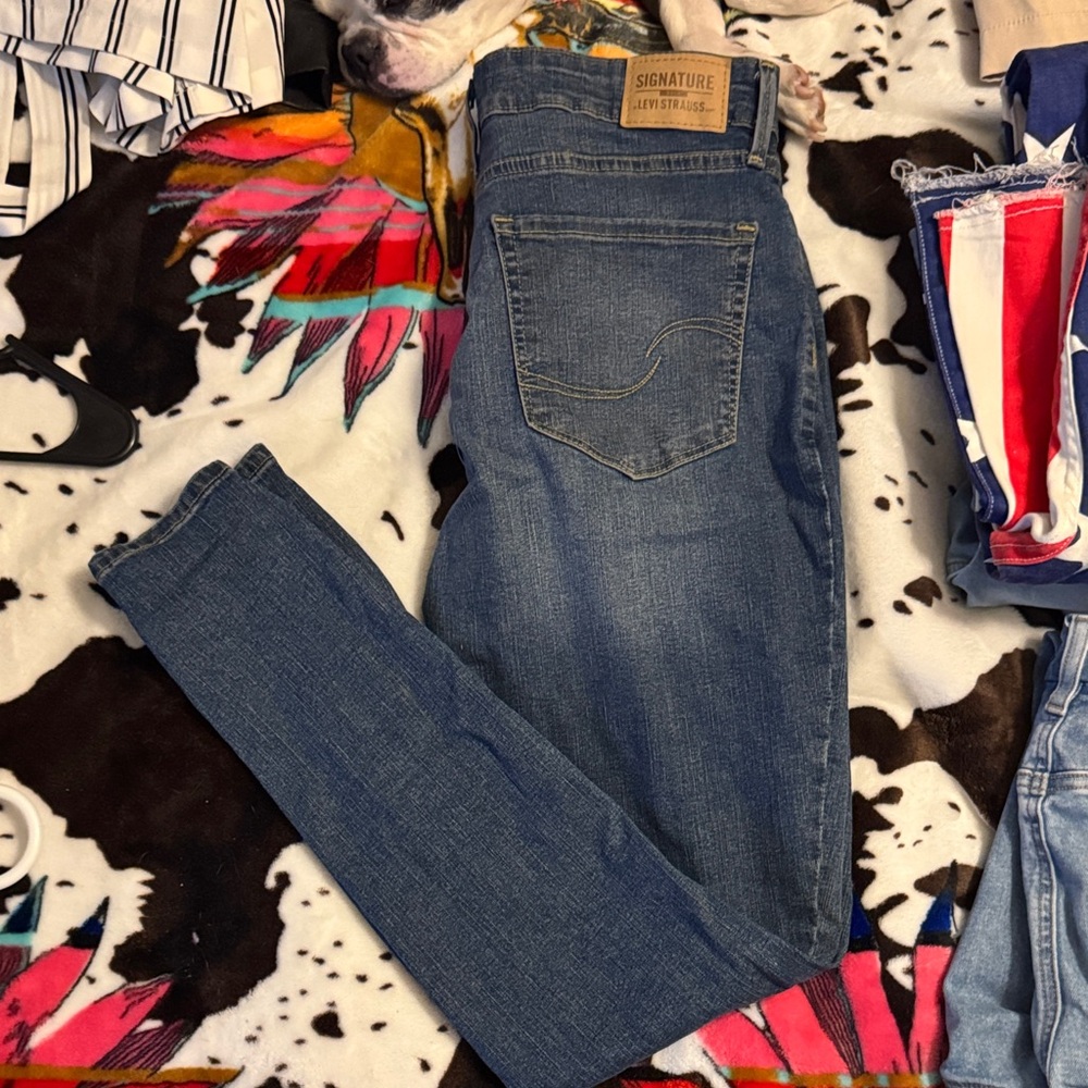 Signature Levi Strauss Blue Jeans